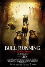 Watch Encierro 3D: Bull Running in Pamplona 123movieshub