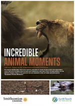 Watch Incredible Animal Moments 123movieshub