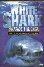 Watch National Geographic white shark:outside the cage 123movieshub