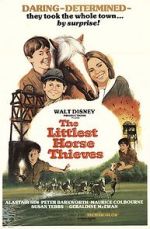 Watch The Littlest Horse Thieves 123movieshub