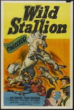 Watch Wild Stallion 123movieshub