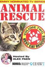 Watch Animal Rescue, Volume 2: Best Cat Rescues 123movieshub