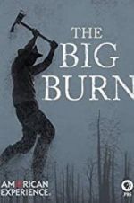 Watch American Experience: The Big Burn 123movieshub