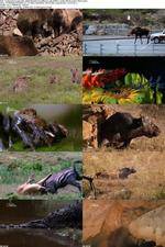 Watch National Geographic - World's Deadliest Lady Killers 123movieshub