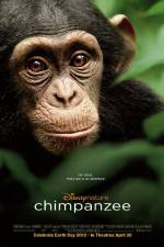 Watch Chimpanzee 123movieshub