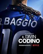 Watch Baggio: The Divine Ponytail 123movieshub