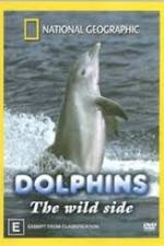 Watch Dolphins: The Wild Side 123movieshub