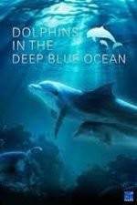 Watch Dolphins in the Deep Blue Ocean 123movieshub