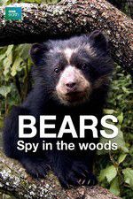 Watch Bears: Spy in the Woods 123movieshub