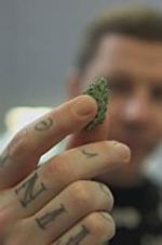 Watch Professor Green: Is It Time to Legalise Weed? 123movieshub