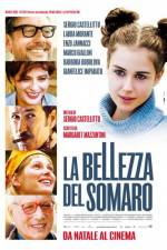 Watch La bellezza del somaro 123movieshub