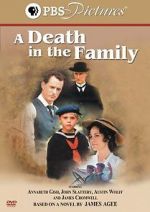 Watch A Death in the Family 123movieshub