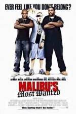 Watch Malibu's Most Wanted 123movieshub