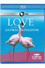 Watch Nature: Love in the Animal Kingdom 123movieshub