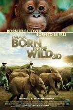 Watch Born to Be Wild 123movieshub