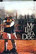 Watch My Life As A Dog 123movieshub