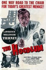 Watch The Hoodlum 123movieshub
