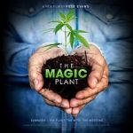 Watch The Magic Plant 123movieshub