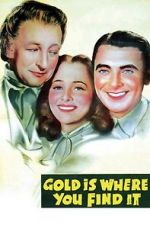 Watch Gold Is Where You Find It 123movieshub