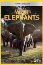 Watch War Elephants 123movieshub