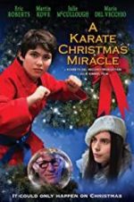 Watch A Karate Christmas Miracle 123movieshub