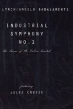 Watch Industrial Symphony No 1 The Dream of the Brokenhearted 123movieshub