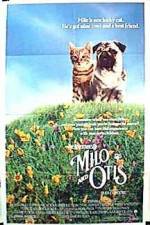 Watch Milo and Otis 123movieshub