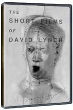 Watch The Short Films of David Lynch 123movieshub