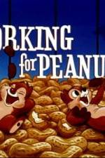Watch Working For Peanuts 123movieshub