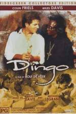 Watch Dingo 123movieshub
