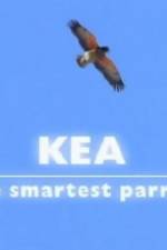 Watch Kea - The Smartest Parrot 123movieshub
