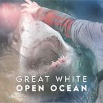 Watch Great White Open Ocean 123movieshub