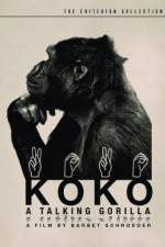 Watch Koko, le gorille qui parle 123movieshub