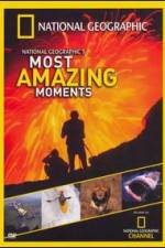 Watch National Geographics Most Amazing Moments 123movieshub
