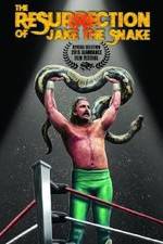 Watch The Resurrection of Jake The Snake Roberts 123movieshub