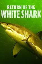 Watch Return of the White Shark 123movieshub
