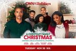 Watch A Chestnut Family Christmas 123movieshub