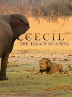 Watch Cecil: The Legacy of a King 123movieshub