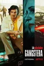 Watch How I Fell in Love with a Gangster 123movieshub