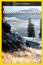 Watch National Geographic Yellowstone Winter 123movieshub