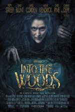 Watch Into the Woods 123movieshub