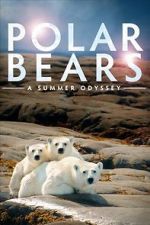 Watch Polar Bears: A Summer Odyssey 123movieshub