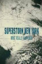 Watch Superstorm New York: What Really Happened 123movieshub