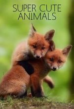 Watch Super Cute Animals 123movieshub