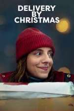 Watch Delivery by Christmas 123movieshub