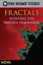 Watch NOVA - Fractals Hunting the Hidden Dimension 123movieshub