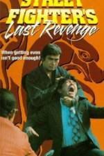 Watch The Street Fighters Last Revenge 123movieshub