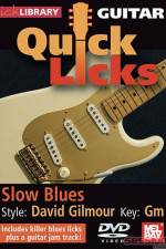 Watch Lick Library Quick Licks David Gilmour 123movieshub