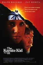 Watch The Karate Kid Part III 123movieshub