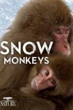 Watch Nature: Snow Monkeys 123movieshub